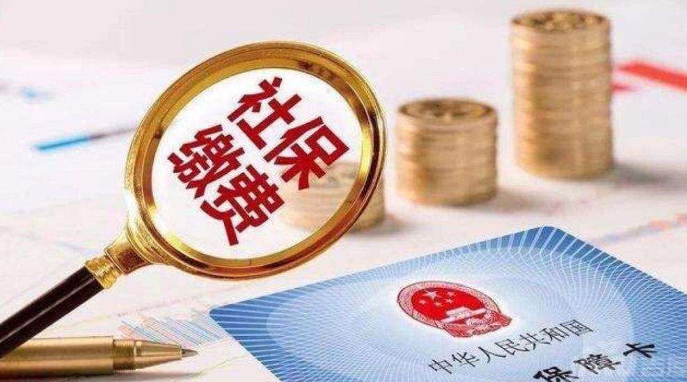 农村社保缴费标准 农村社保每年交多少钱？