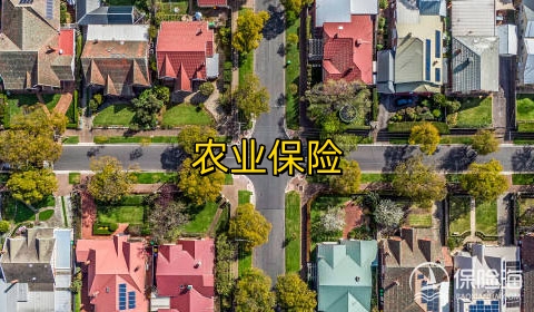 农业保险的重要性是什么?有哪些种类?