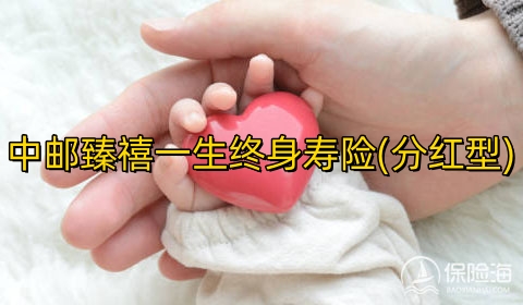 中邮臻禧一生终身寿险(分红型)怎么样?保什么?