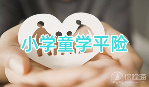 小学童学平险怎么样？保什么?值得买吗?