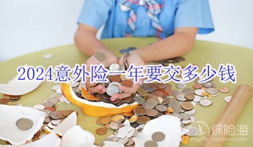 2024意外险一年要交多少钱?2024意外险险种目录价格表?