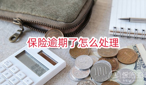 保险逾期了怎么处理?交强险允许过期多少天?