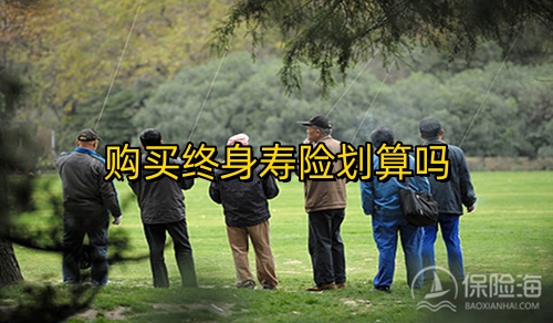 购买终身寿险划算吗?购买终身寿险的风险有哪些?